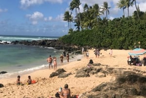 Oahu : Visite en petit groupe de la côte nord et du cercle de l'île