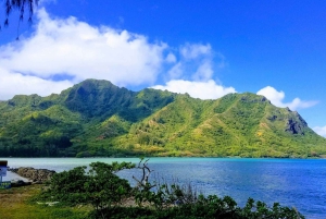 Oahu: North Shore Circle Island Tour in kleine groep
