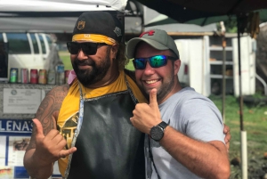 Oahu: North Shore Circle Island Tour in kleine groep