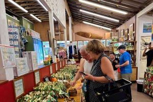 Oahu: North Shore Circle Island Tour in kleine groep