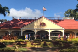 Oahu: North Shore Circle Island Tour in kleine groep