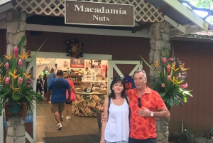 Oahu: North Shore Circle Island Tour in kleine groep