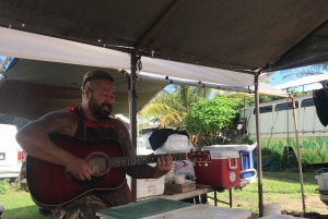 Oahu: North Shore Circle Island Tour in kleine groep