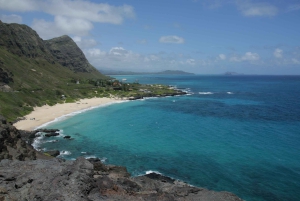 Oahu: North Shore Circle Island Tour in kleine groep