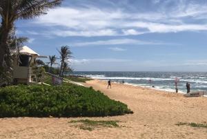 Oahu: North Shore Circle Island Tour in kleine groep