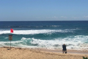 Oahu: North Shore Circle Island Tour in kleine groep