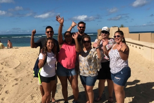 Oahu: North Shore Circle Island Tour in kleine groep