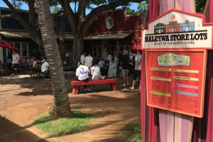 Oahu: North Shore Circle Island Tour in kleine groep