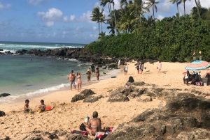 Oahu: North Shore Circle Island Tour in kleine groep