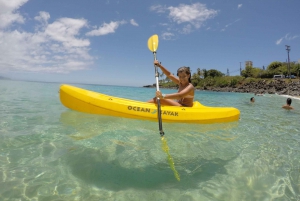 Oahu: Escursione sulla costa settentrionale con attività incluse