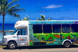 Oahu: Escursione sulla costa settentrionale con attività incluse