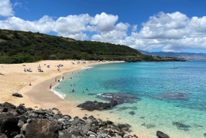 Oahu: Dagsudflugt til North Shore med aktiviteter inkluderet