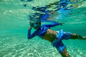 Oahu: Dagsudflugt til North Shore med aktiviteter inkluderet