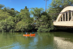 Oahu: Dagsudflugt til North Shore med aktiviteter inkluderet