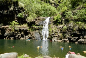 Oahu: Dagsudflugt til North Shore med aktiviteter inkluderet