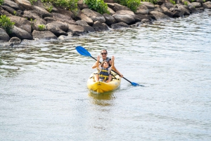 Oahu: Dagsudflugt til North Shore med aktiviteter inkluderet
