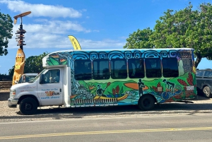 Oahu: Dagsudflugt til North Shore med aktiviteter inkluderet