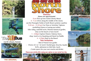 Oahu: Dagsudflugt til North Shore med aktiviteter inkluderet