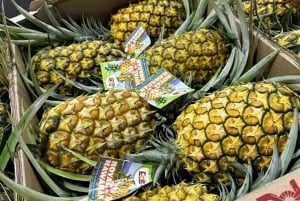 Oahu: Omvisning på ananasfarmen North Shore Dole Pineapple Farm
