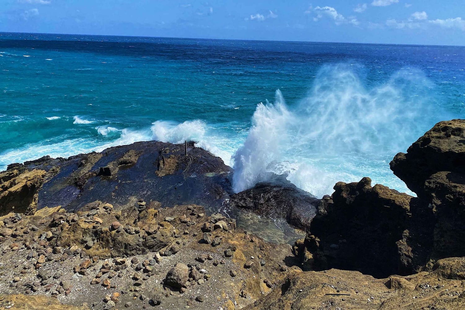 Oahu: experiencia en la costa norte y plantación Dole