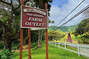 Oahu: North Shore Experience and Dole Plantation