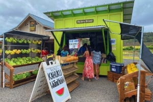 Oahu: North Shore Experience and Dole Plantation