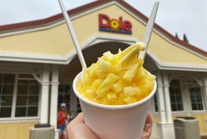 Oahu: North Shore Experience and Dole Plantation