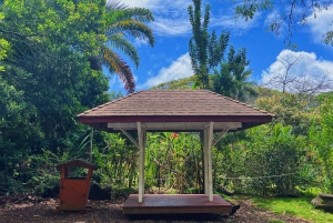 Oahu: North Shore Experience and Dole Plantation
