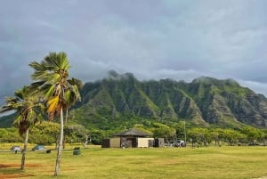 Oahu : expérience de la côte nord et plantation de Dole