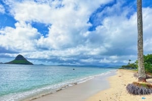 Oahu: North Shore Experience e Dole Plantation