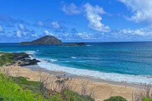 Oahu: North Shore Experience en Dole Plantation