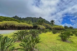 Oahu: experiencia en la costa norte y plantación Dole
