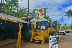 Oahu: North Shore Experience en Dole Plantation