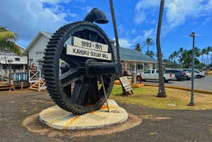 Oahu: North Shore Experience i Dole Plantation