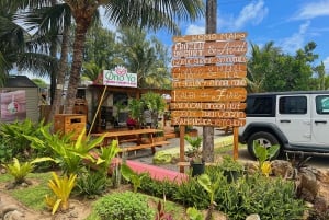 Oahu: North Shore Experience och Dole Plantation