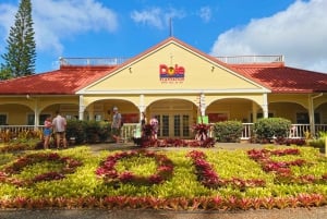Oahu : expérience de la côte nord et plantation de Dole