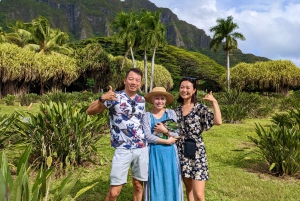 Oahu: North Shore Experience og Dole Plantation
