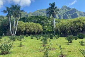 Oahu: experiencia en la costa norte y plantación Dole