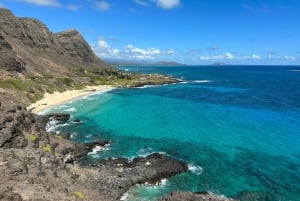 Oahu: experiencia en la costa norte y plantación Dole