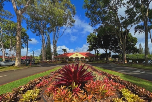 Oahu: experiencia en la costa norte y plantación Dole