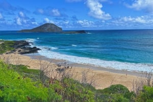 Oahu: experiencia en la costa norte y plantación Dole