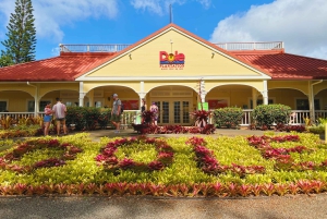 Oahu: experiencia en la costa norte y plantación Dole