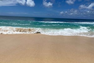 Oahu: experiencia en la costa norte y plantación Dole