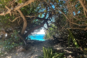 Oahu: experiencia en la costa norte y plantación Dole