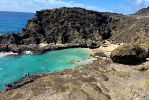 Oahu: experiencia en la costa norte y plantación Dole
