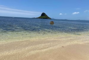 Oahu: experiencia en la costa norte y plantación Dole