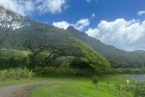 Oahu: experiencia en la costa norte y plantación Dole