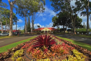 Oahu: North Shore Experience and Dole Plantation