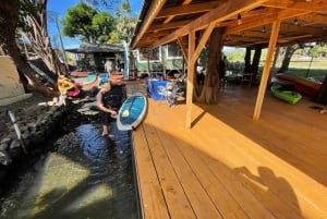 Oahu: Aventura no rio North Shore Haleiwa Paddleboard