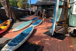 Oahu: Elveeventyr med padlebrett på Haleiwa-elven på nordkysten av Oahu